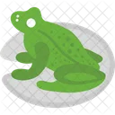 M Frosch Symbol