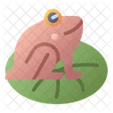 Frosch Tier Krote Icon