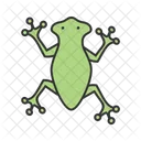 Frosch Tier Tierwelt Symbol