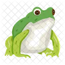 Frosch Krote Ochsenfrosch Symbol