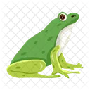 Frosch Krote Ochsenfrosch Symbol