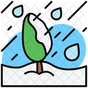 Frost Snow  Icon