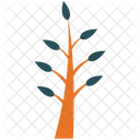 Generisch Pflanze Baum Symbol