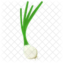 Knoblauch Krauter Gewurze Symbol