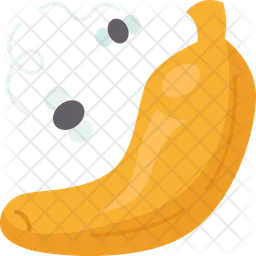 Fruit  Icon