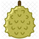 Fruit Durian Fit Icon