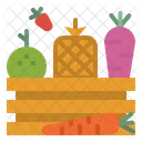 Fruit Food Vegetables Icon
