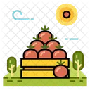 Fruit Tomato Agriculture Icon