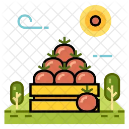 Fruit  Icon