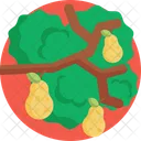 Country Living Fruit Tree Icon
