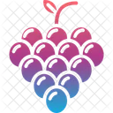 Fruit Grape Grapes Icon