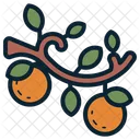 Fruit Orange Plant Icon
