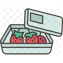Fruit Packaging Fresh Icon