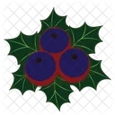 Fruit Sweet Nutrition Icon