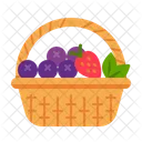 Fruit Basket Fresh Fruit Berries Icon