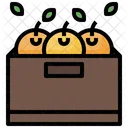 Fruit Basket Fruit Crate Fruit Box Icon
