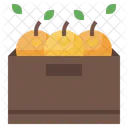 Box Crate Gardening Icône