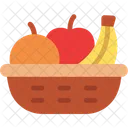 Fruit Basket Organic Nutrition Icon