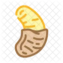 Fruit Chocolate  Icon