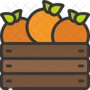 Fruit Crate  Icon