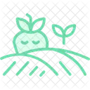 Fruit Field Food Icon