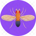 Fruit Fly Insect Bug Icon