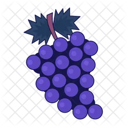 Fruit grapes bunch  Icon