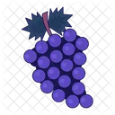 Grapes Bunch Fruit Bunch Of Grapes Autumn Harvesting Icon