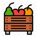 Fruit Food Diet Icon