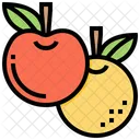 Fruit  Icon