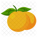 Fruit  Icon