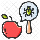 Fruit Insect  Icon