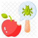 Fruit Insect Food Insect Pest Icon
