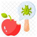 Fruit Insect  Icon