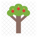 Fruit Tree Tree Nature Icon