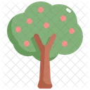 Tree Nature Botanical Icône