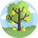 Nature Fruit Tree Tree Icon