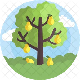 Fruit Tree  Icon