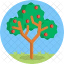 Fruit Tree  Icon