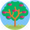 Fruit Tree Yard Garden Icon