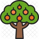 Fruit Tree Orchard Icon