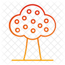 Fruite Tree Icon