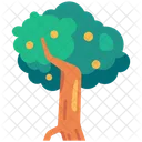 Fruit tree  Icon
