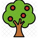 Fruit Tree Apple Botanical Icon