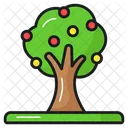 Fruit Tree Natural Icon