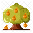 Fruit Tree Orchard Oranges Icon