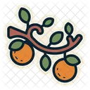 Fruit Orange Plant Icon