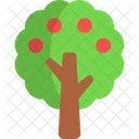 Fruit tree  Icon