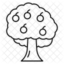 Fruit Tree Tree Nature Icon