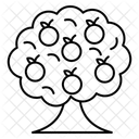 Fruit Tree Tree Nature Icon